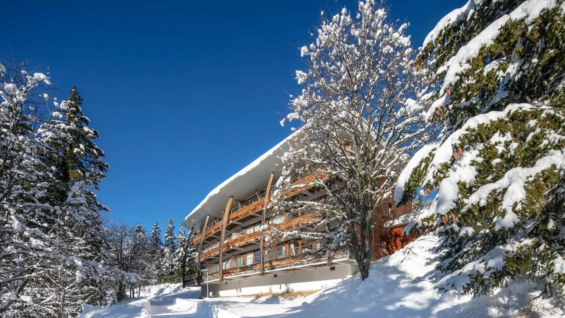V Du Bachat Droseras 16 - Appt 4-5 Pers Chamrousse France